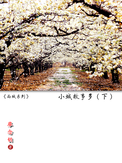 Title details for 雨城系列 by 廖念钥 - Available